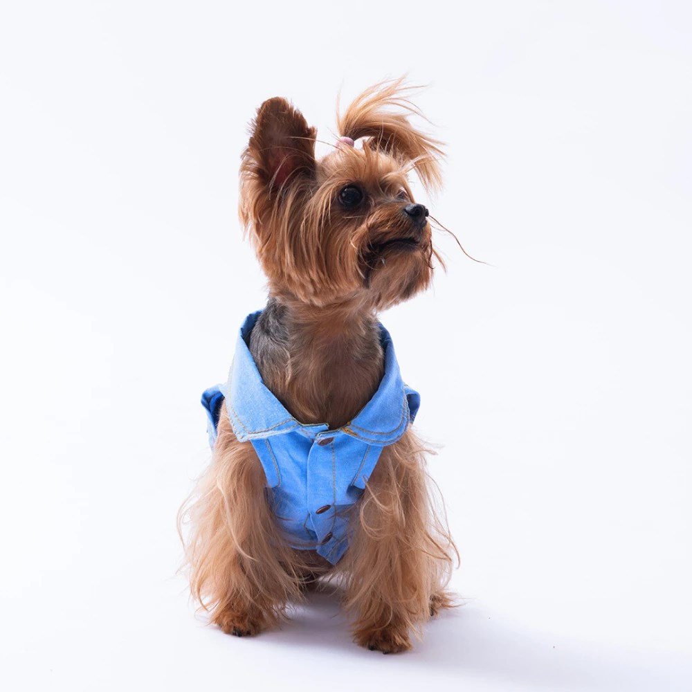 PawStar 25408 Açık Mavi Denim Look Gömlek