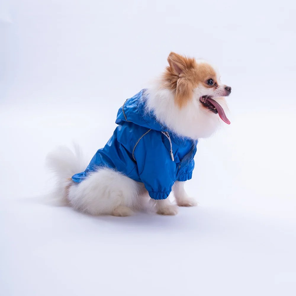 PawStar 25506 Mavi Pluvia Yağmurluk Küçük ve Orta Irk
