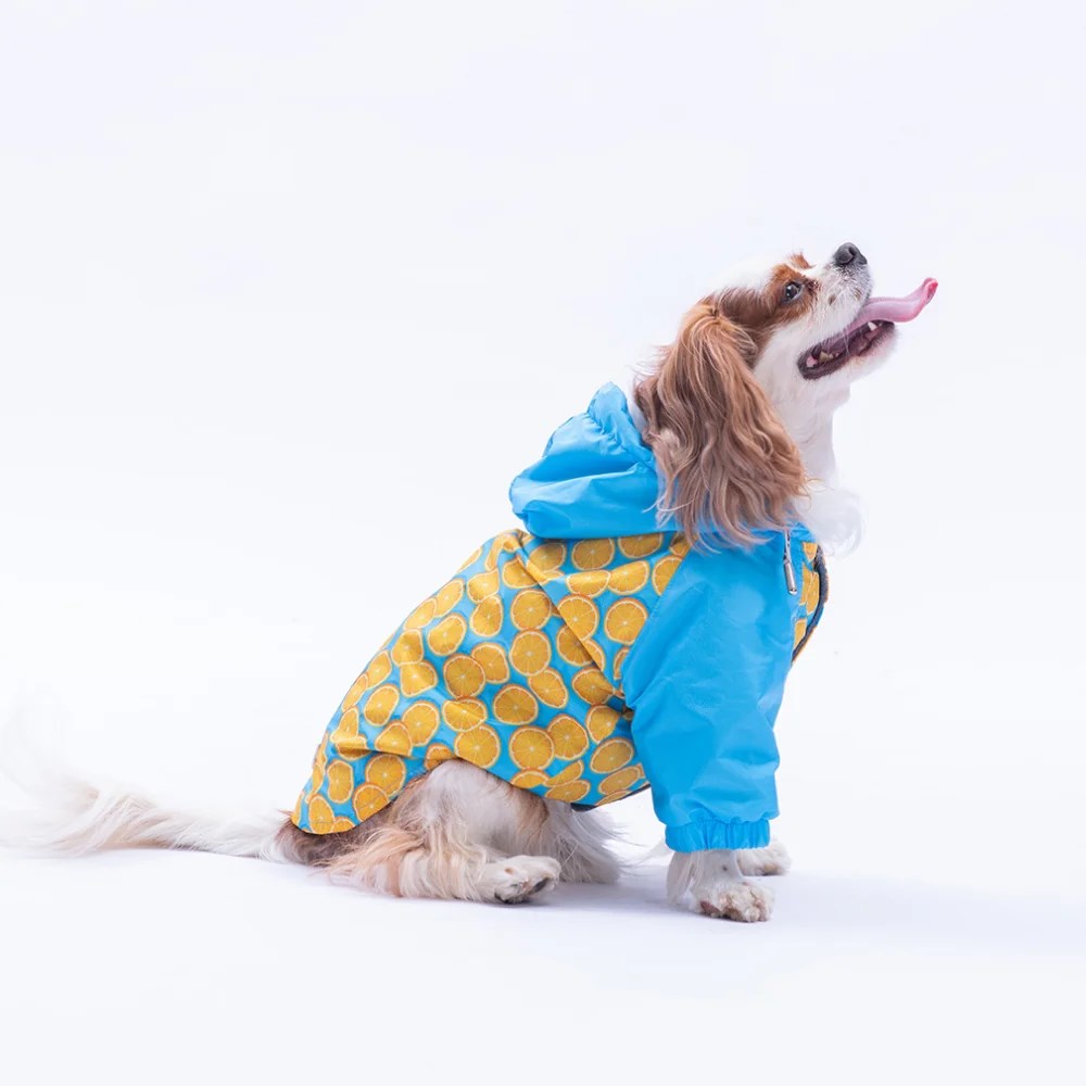 PawStar 25510 Nice Citrus Yağmurluk