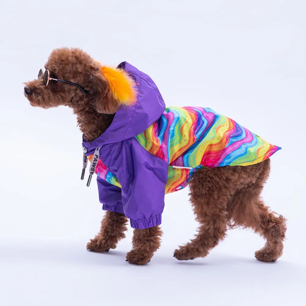 PawStar 25514 Rio Rainbow Yağmurluk