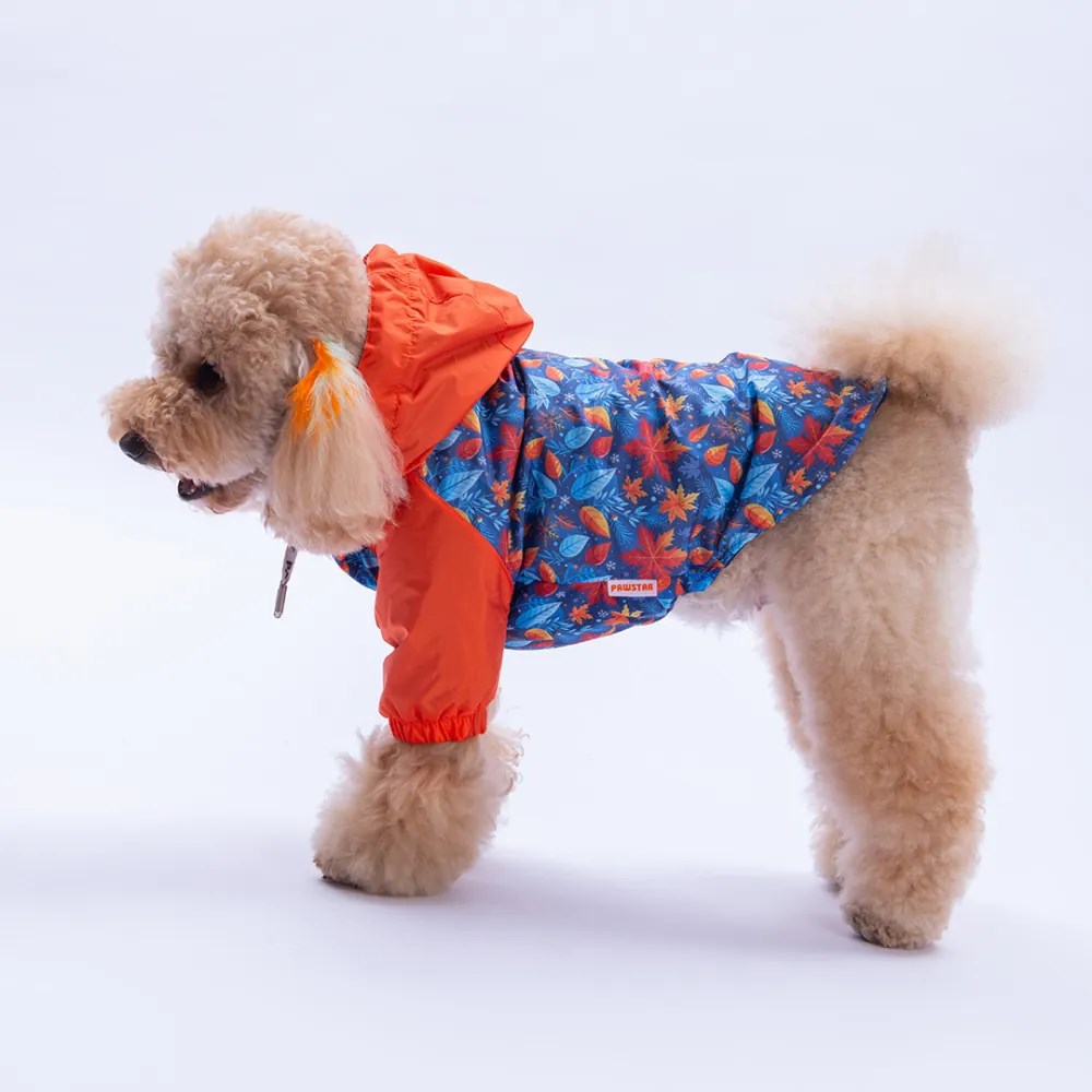 PawStar 25515 Amsterdam Fall Yağmurluk