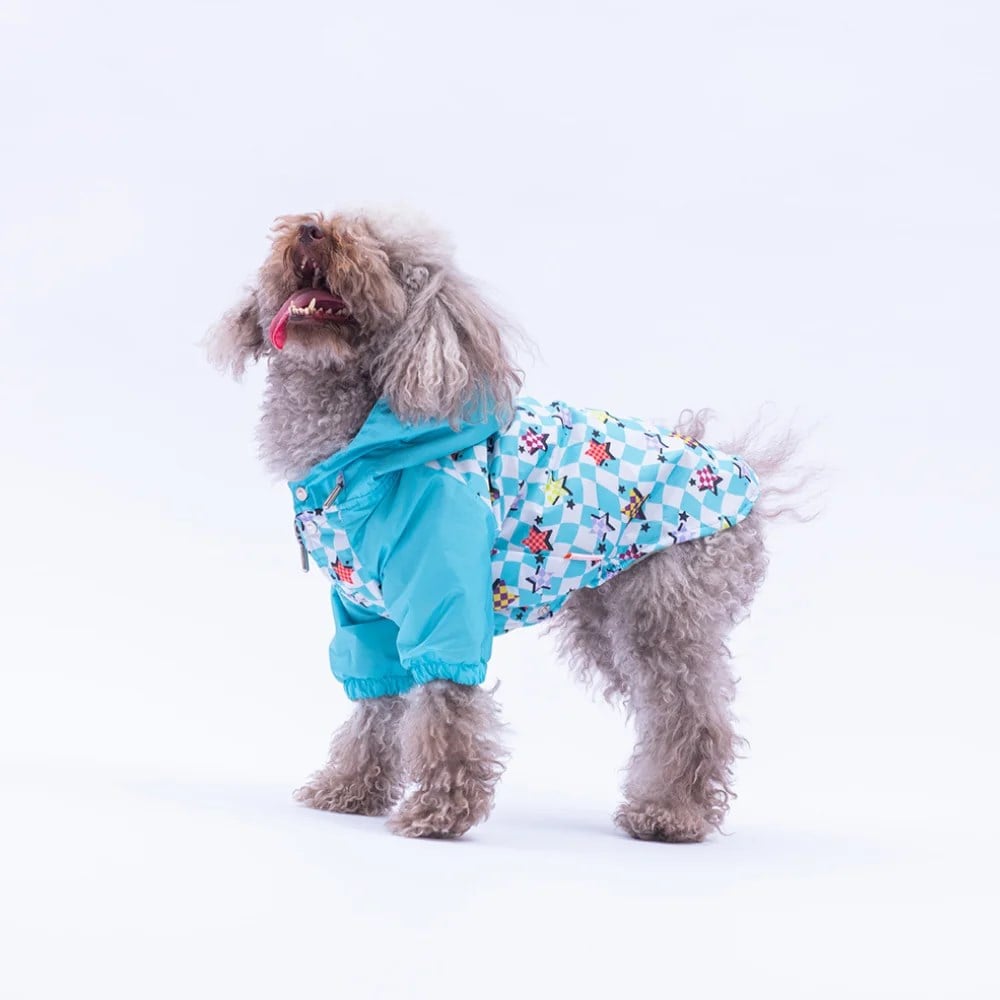 PawStar 25516 Barcelona Nights Yağmurluk