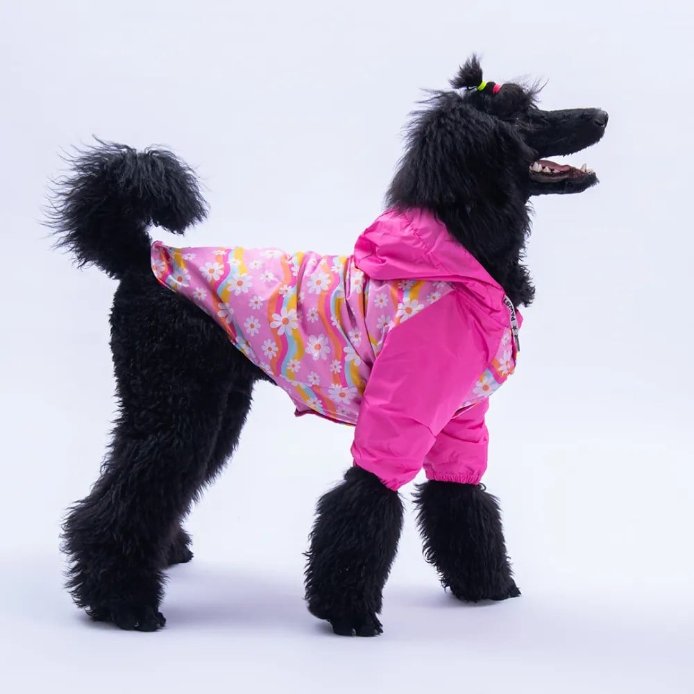 PawStar 25551 Florence Daisy Büyük Irk Yağmurluk