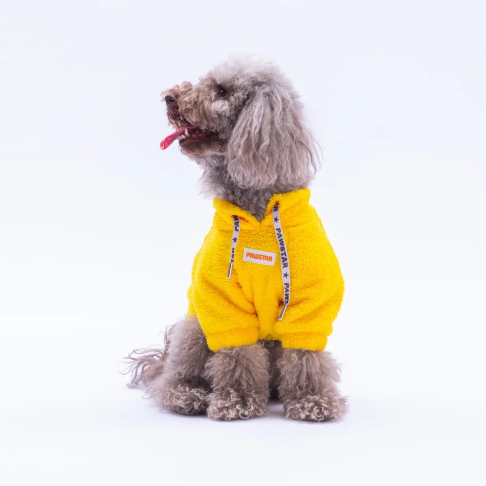 PawStar 25719 Sarı Porto Cozy Sweat
