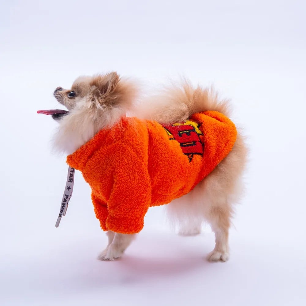 PawStar 25720 Turuncu Doha Go! Sweat
