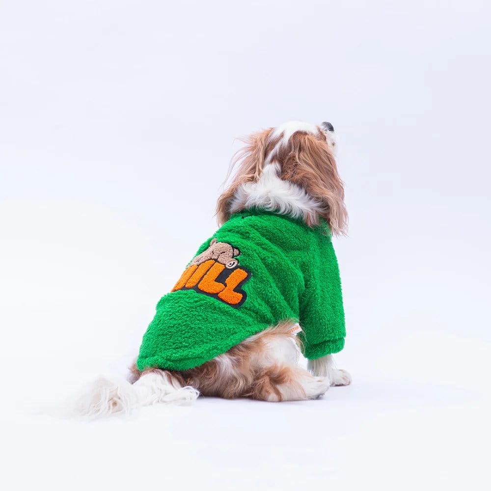 PawStar 25721 Yeşil Oslo Chill Sweat