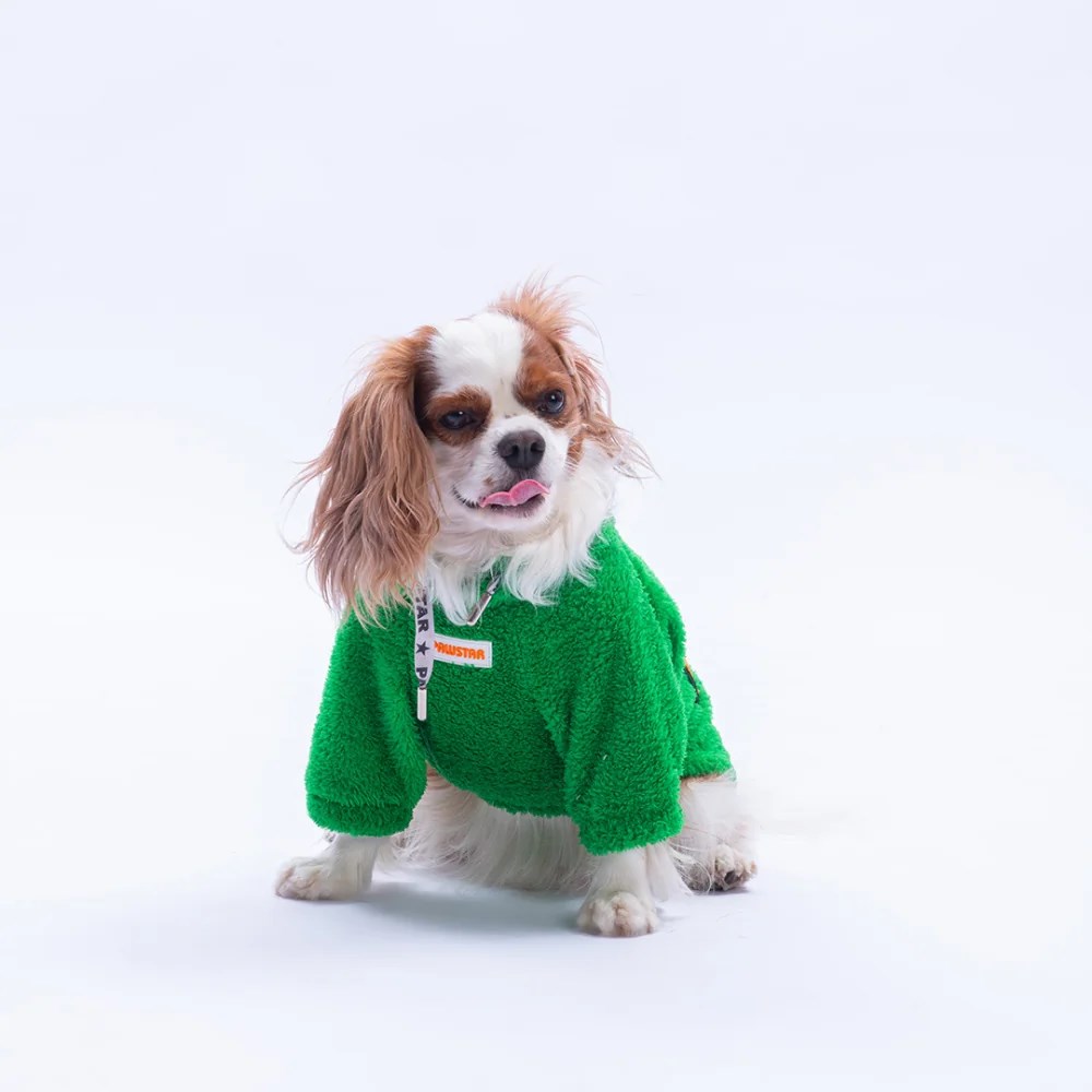 PawStar 25721 Yeşil Oslo Chill Sweat