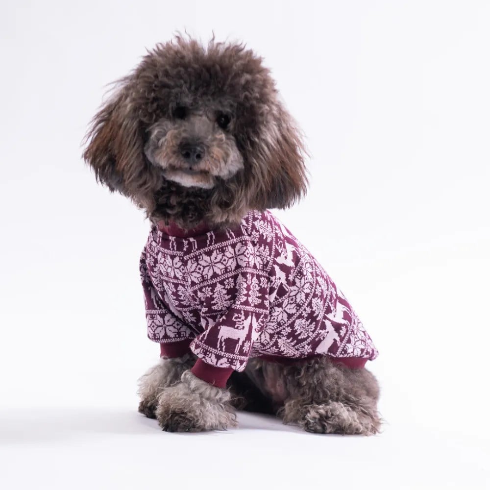 PawStar 25728-Bordo Nordic Winter-Reindeer Sweat