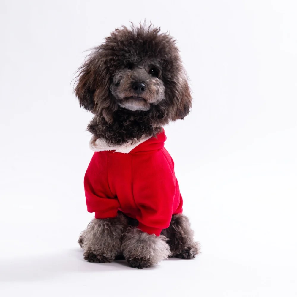 PawStar 25731-Rudolph Soft Hood Kapşonlu Sweat