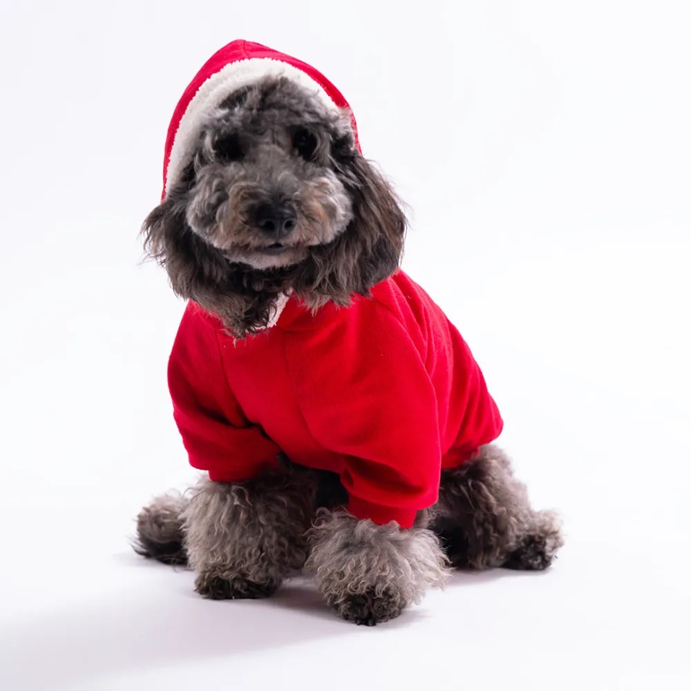 PawStar 25731-Rudolph Soft Hood Kapşonlu Sweat