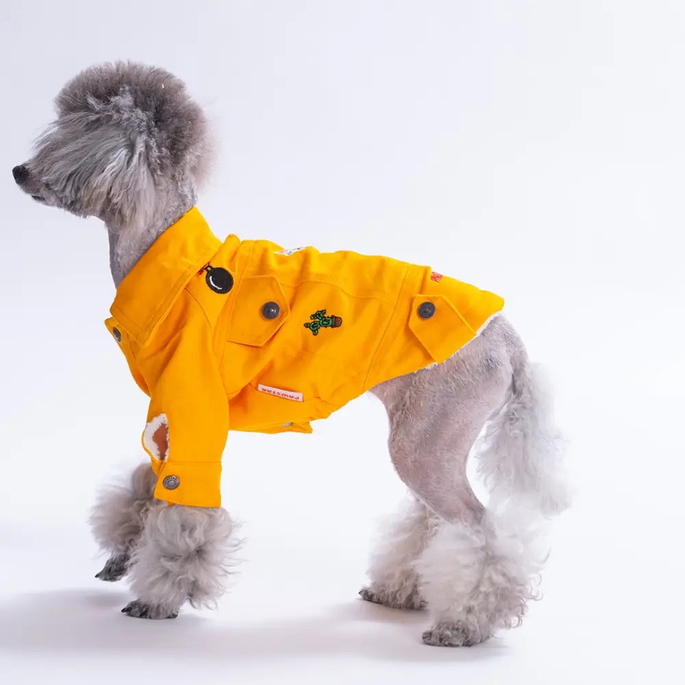 PawStar 26201- Sarı Cancun Pop Ceket