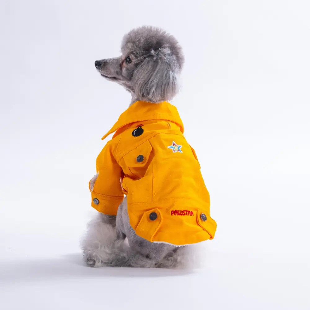PawStar 26201- Sarı Cancun Pop Ceket
