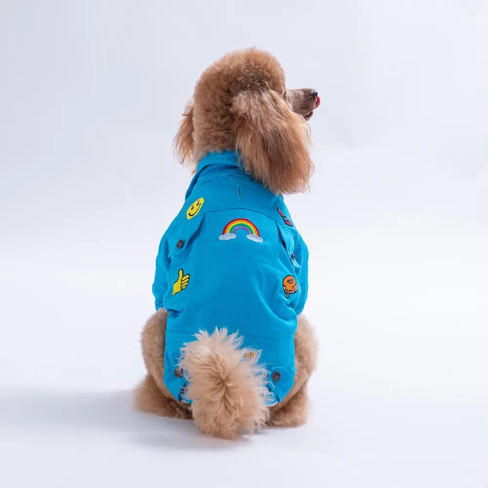 PawStar 26202- Turkuaz Cancun Pop Ceket