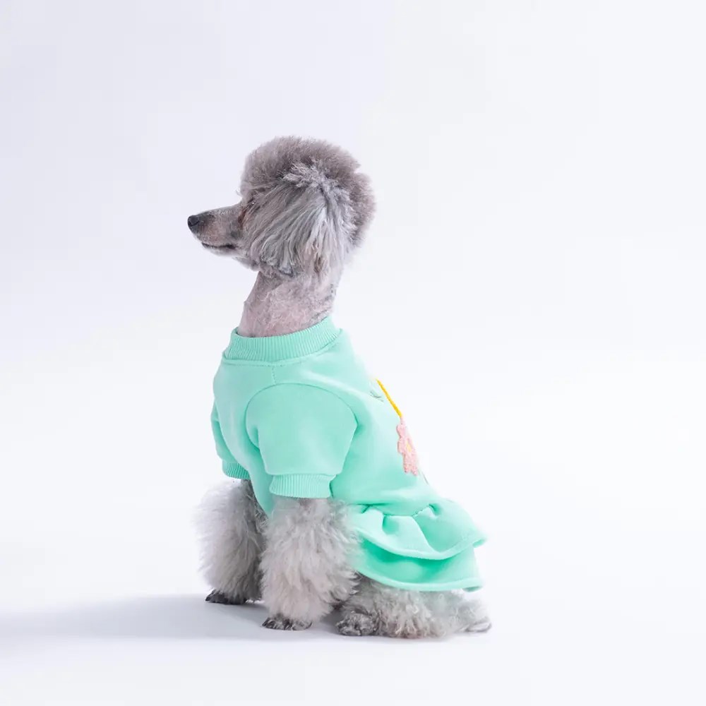 PawStar 26301-Mint Arosa Nivalis Elbise