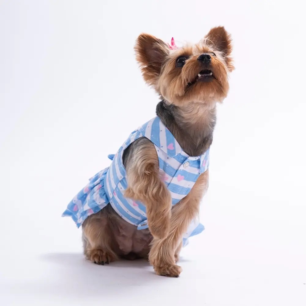 PawStar 26309 Ocean Love Elbise