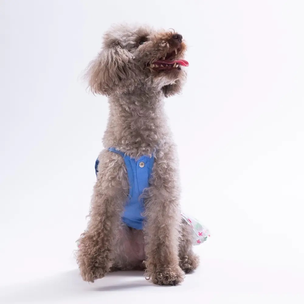 PawStar 26313 Ruby Slice Denim Elbise