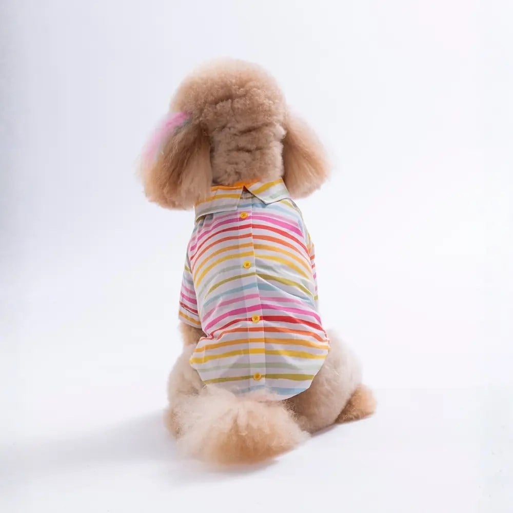 PawStar 26401 Prisma Coast Desenli Gömlek