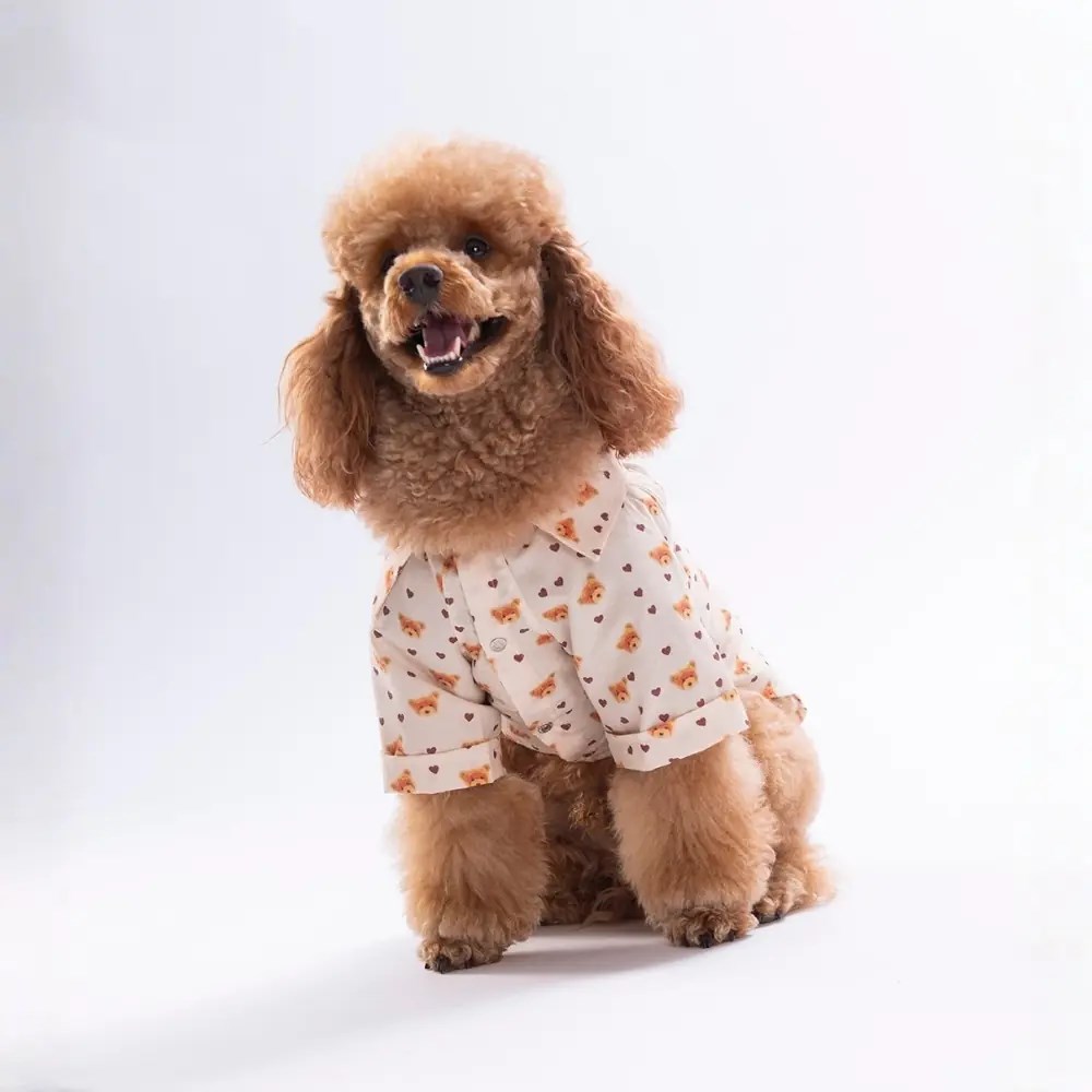 PawStar 26404 Teddy Belle Desenli Gömlek