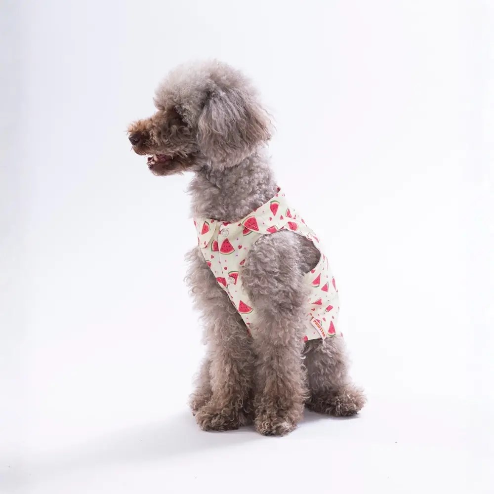 PawStar 26407 Berry Crush Desenli Gömlek