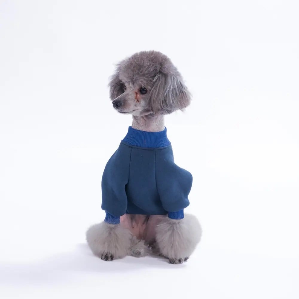 PawStar 26706-Eeyore Creek Dog Sweat
