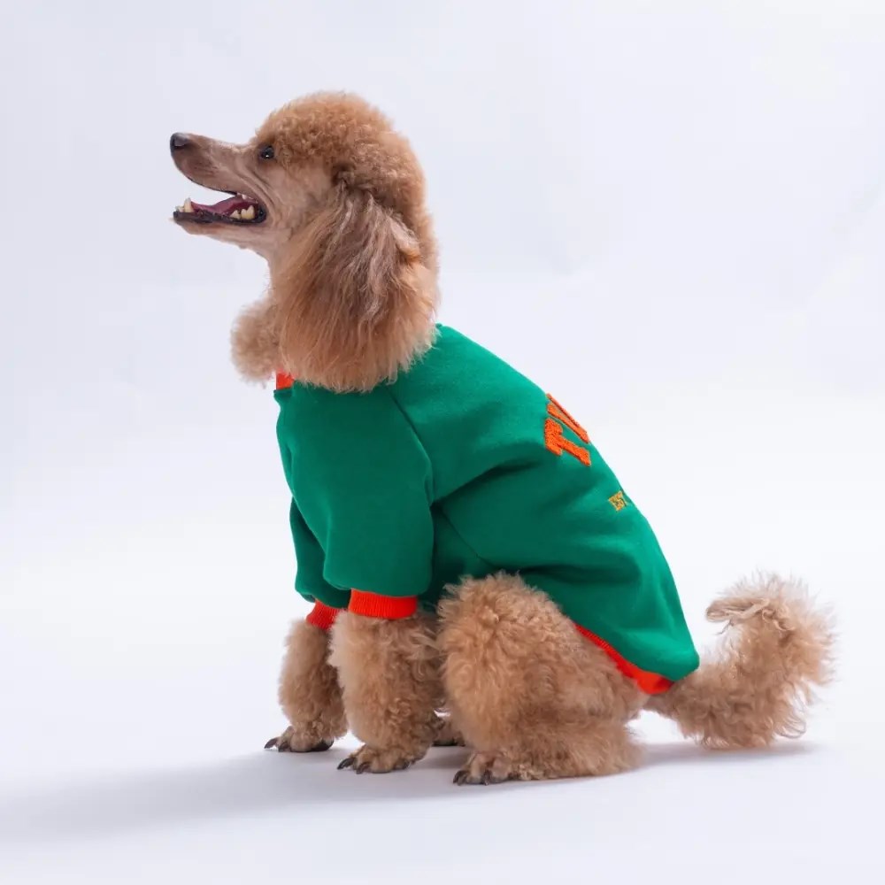 PawStar 26707-Tigger Grove Dog Sweat