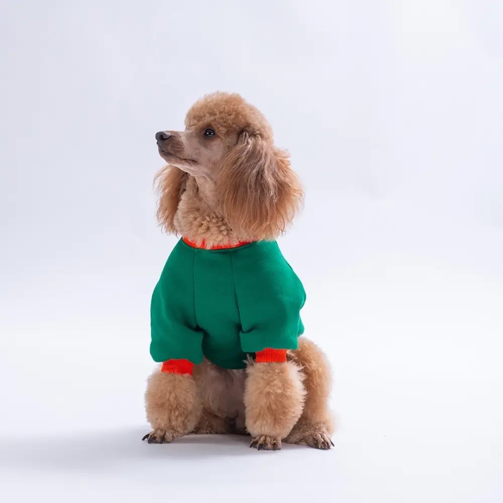 PawStar 26707-Tigger Grove Dog Sweat