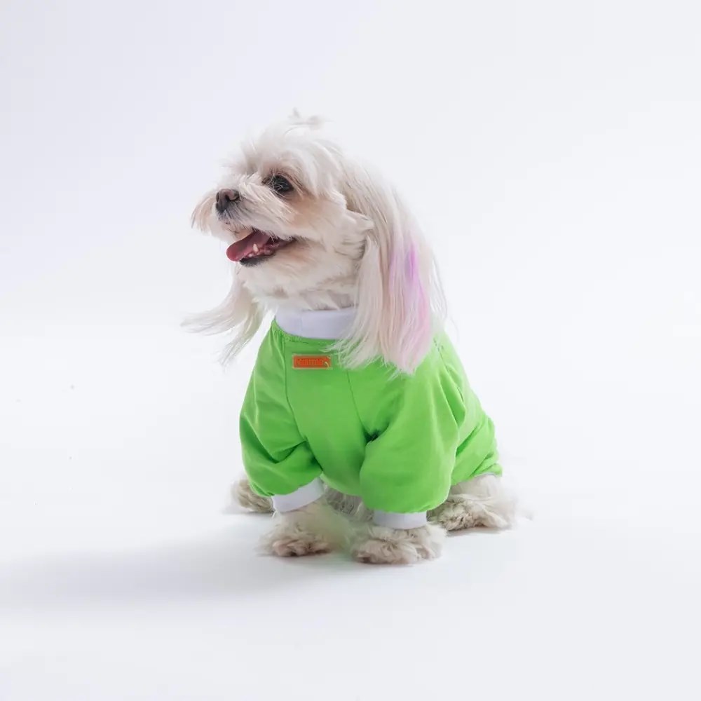 PawStar 26711 Yeşil YourSelf Love Sweat
