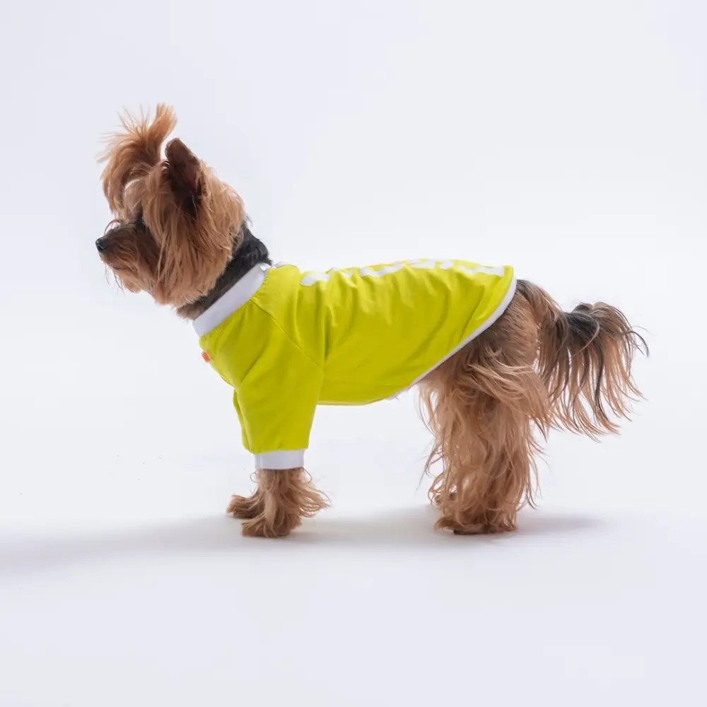 PawStar 26713 Sarı YourSelf Love Sweat