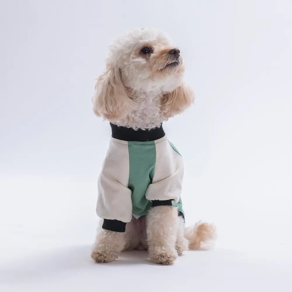 PawStar 26717-Yeşil Baby Teddy Sweat