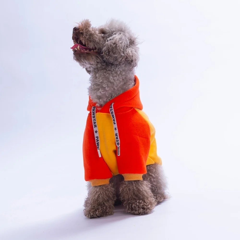 PawStar 26741 Turuncu Vermont Autumn Hoodie