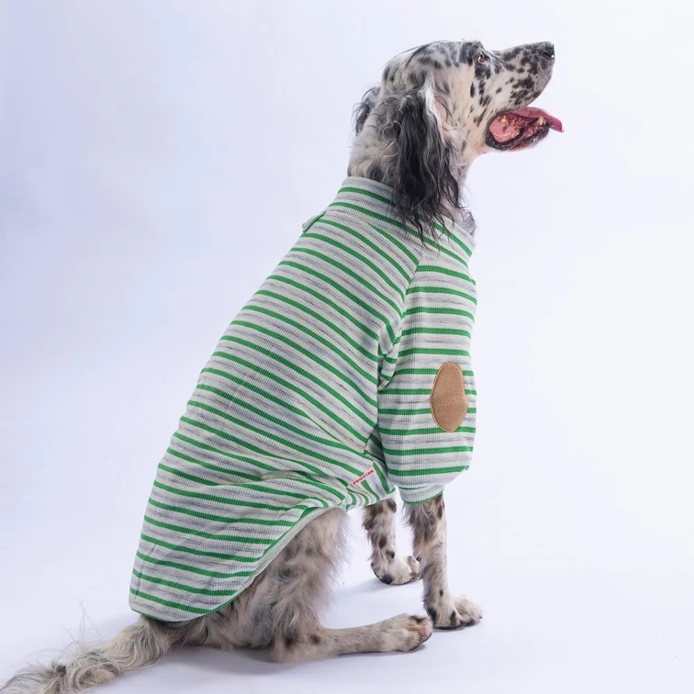 PawStar 26767 Yeşil Marseille Softline Büyük Irk Sweat