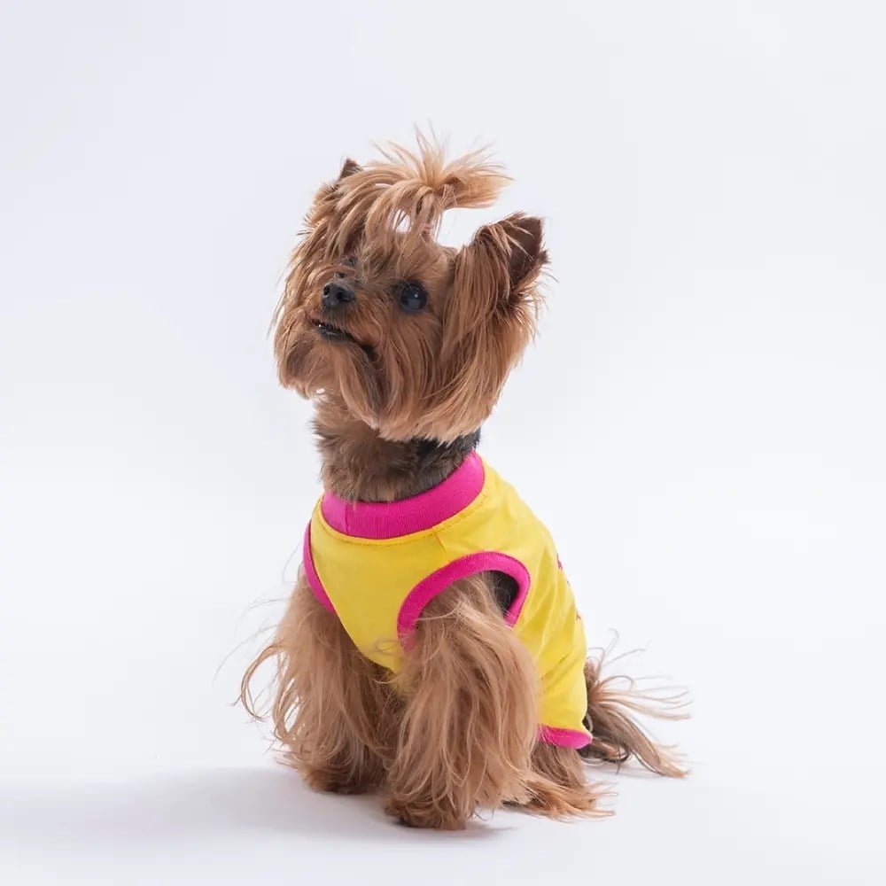PawStar 26802 Sarı All Good Days Tişört