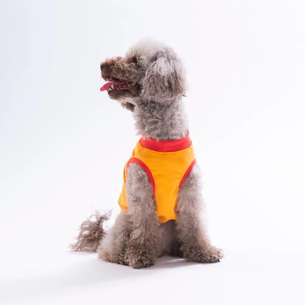 PawStar 26808 Turuncu Donut Teddy Tişört