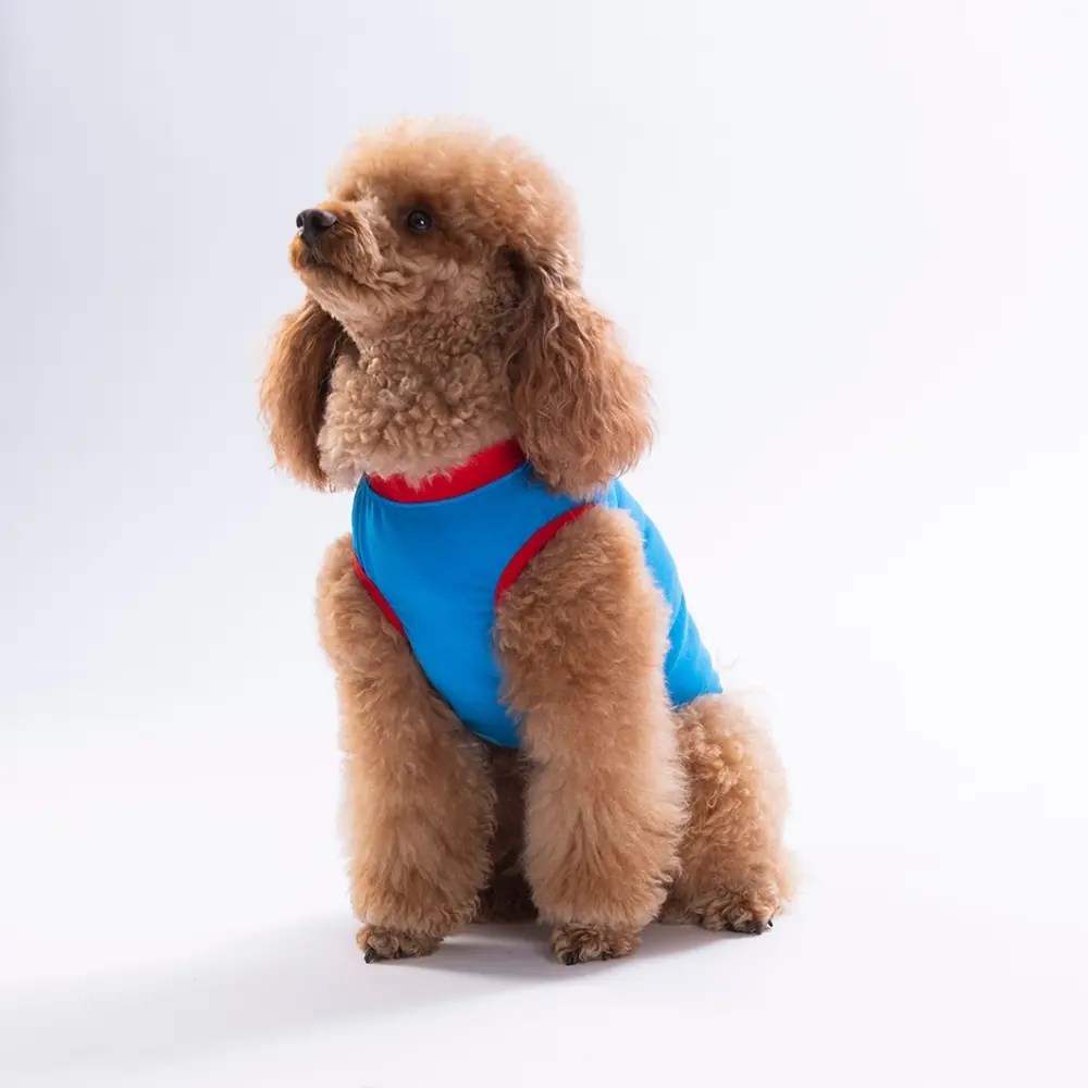 PawStar 26809 Mavi Donut Teddy Tişört