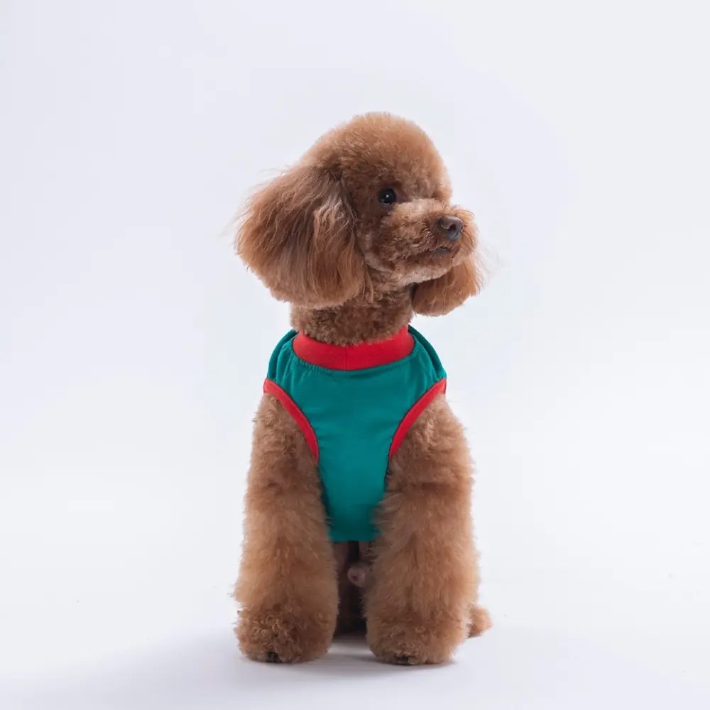 PawStar 26812 Yeşil Good Vibes Tişört