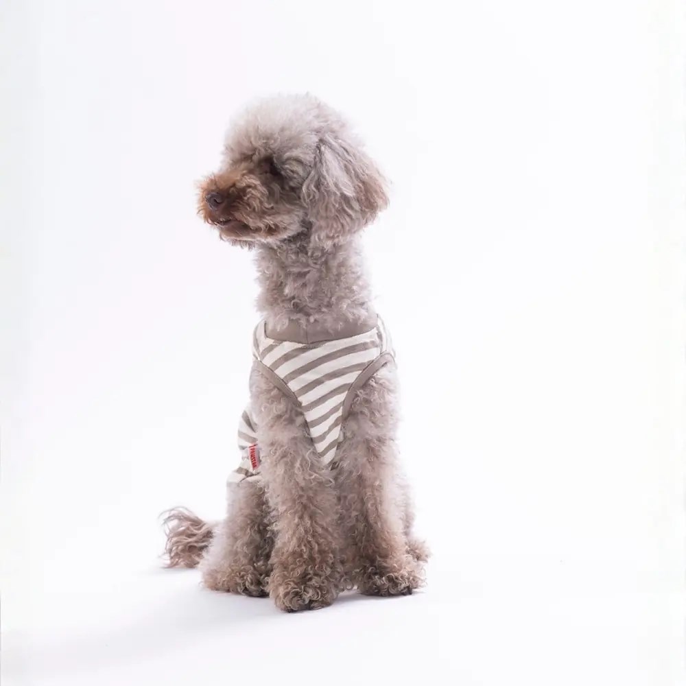 PawStar 26813 Cactus EmbroLine Tişört