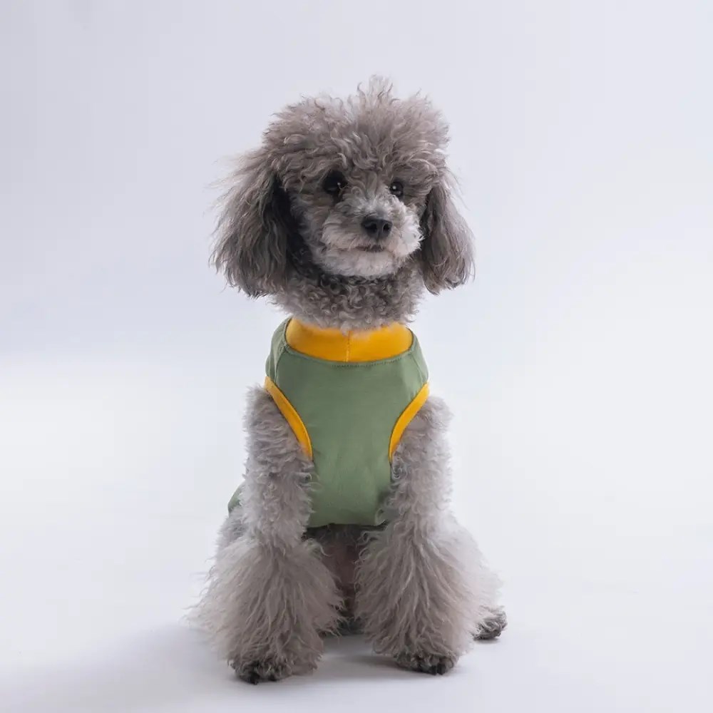 PawStar 26823 Yeşil Just Smile Tişört