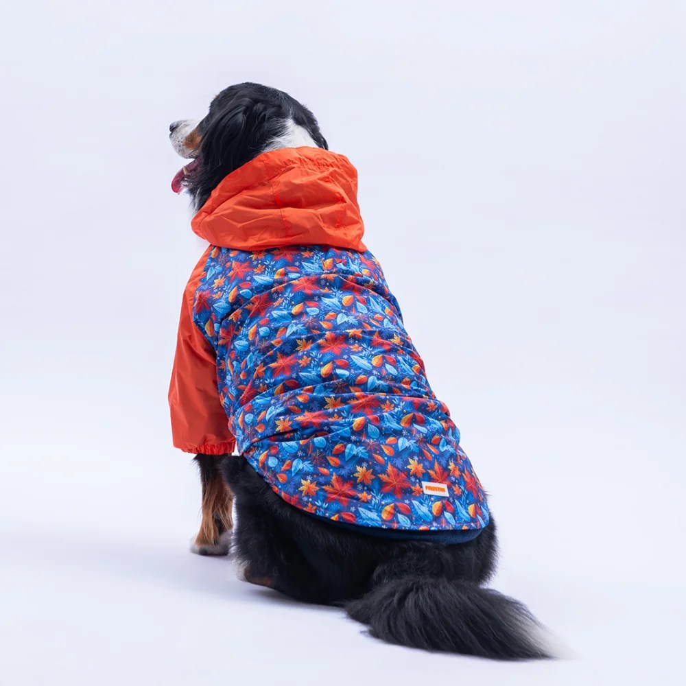 PawStar Amsterdam Fall Büyük Irk Yağmurluk