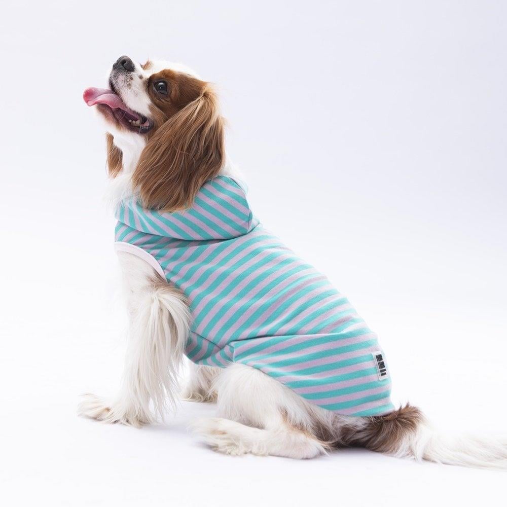 PawStar Aqua Sunny Kapşonlu T-Shirt