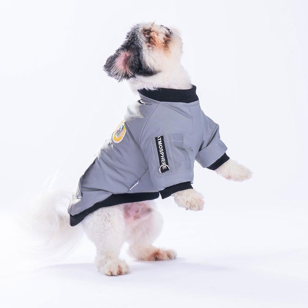PawStar Astrodog Gri Reflöktörlü Kumaş Yağmurluk Küçük ve Orta Irk