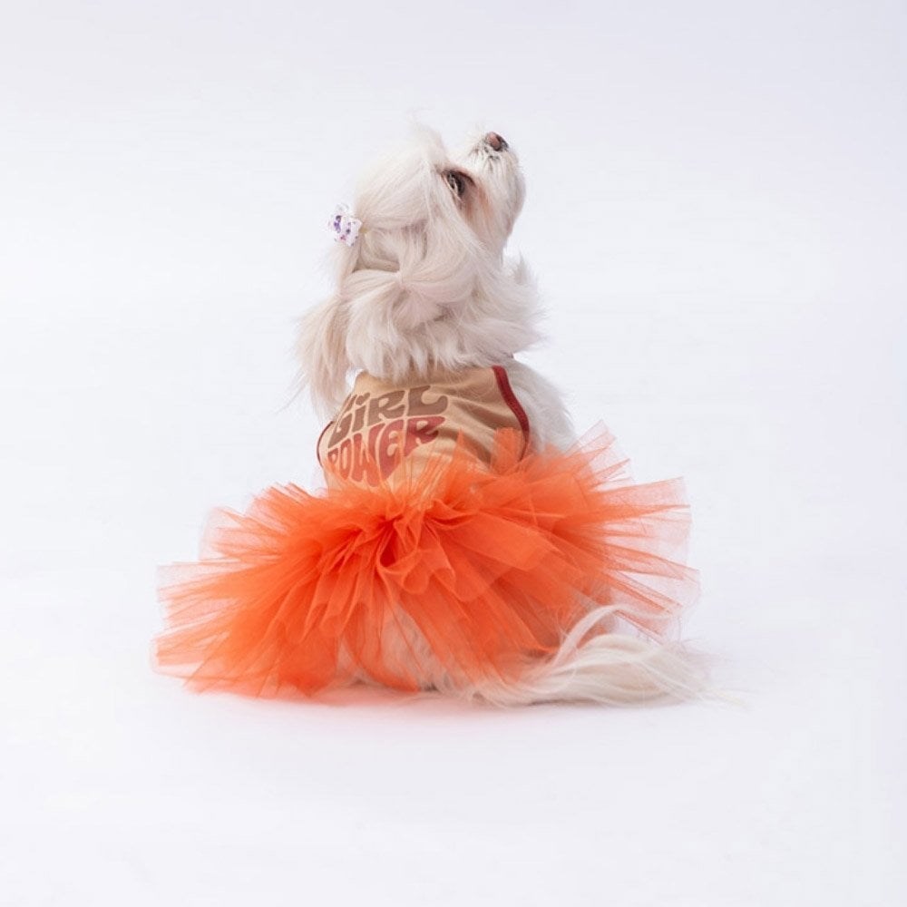 PawStar Bej Girl Power Elbise