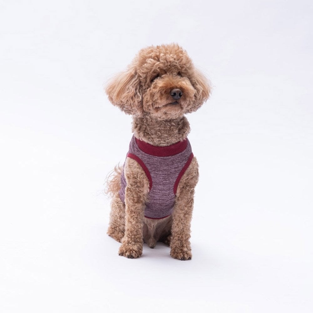 PawStar Bordo Space Time T-Shirt Küçük Irk
