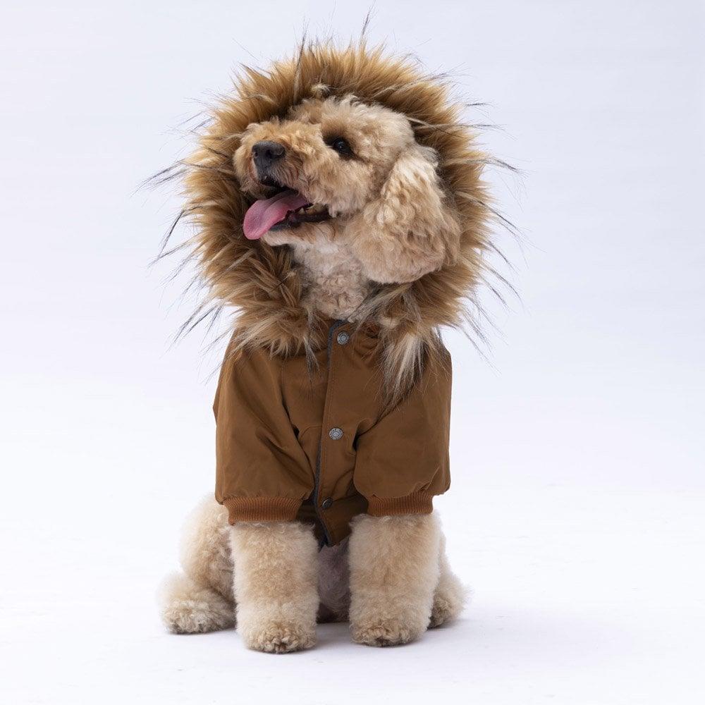 PawStar Camel Charles Yağmurluk Küçük ve Orta Irk