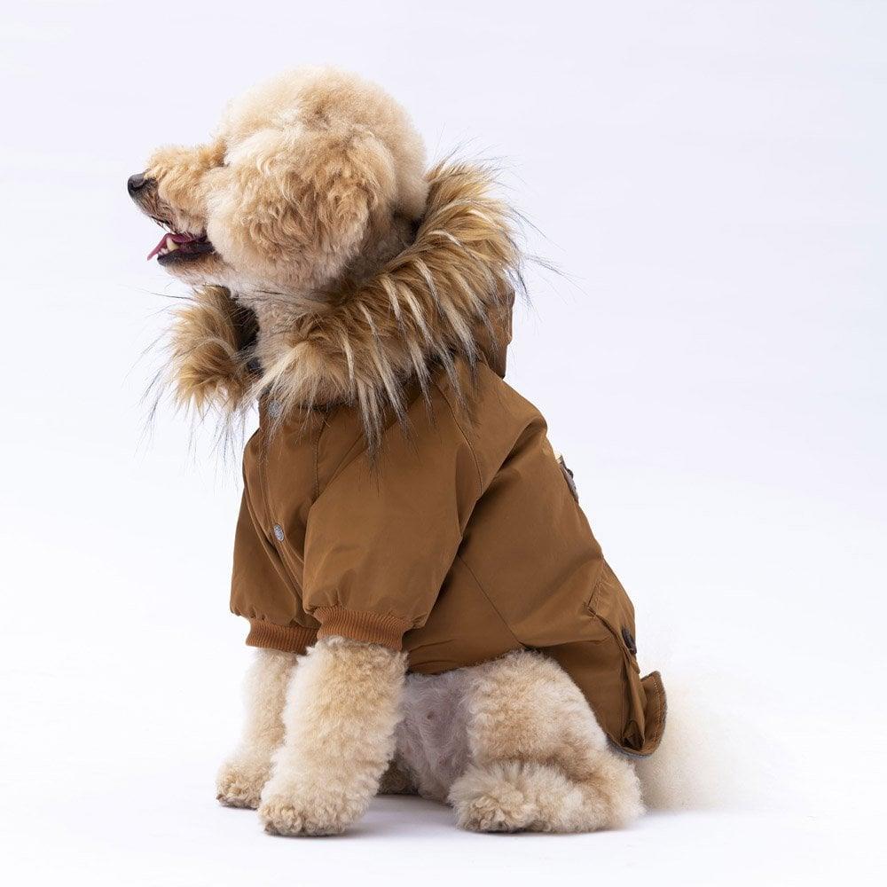 PawStar Camel Charles Yağmurluk Küçük ve Orta Irk