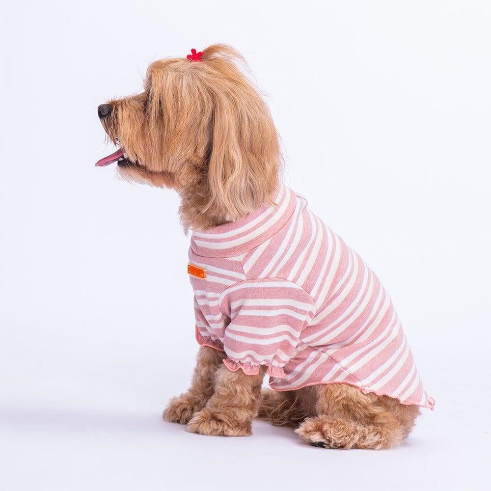 PawStar Ciliegia Küçük ve Orta Irk Sweat