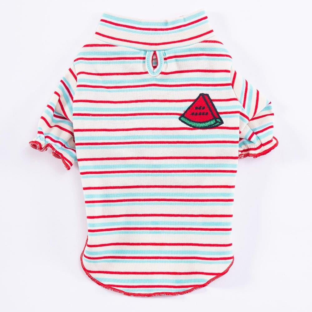 PawStar Cocomero Küçük ve Orta Irk Sweat