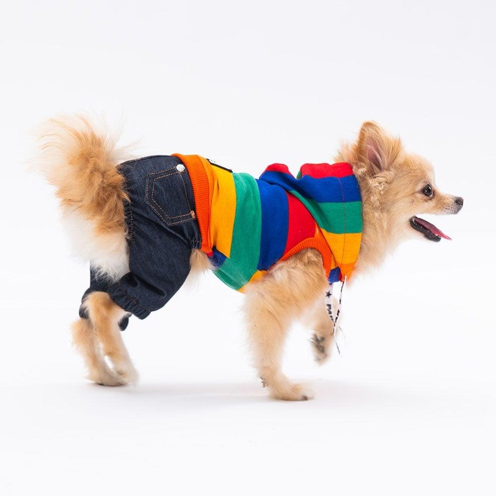 PawStar Colored Lines Tulum Küçük ve Orta Irk