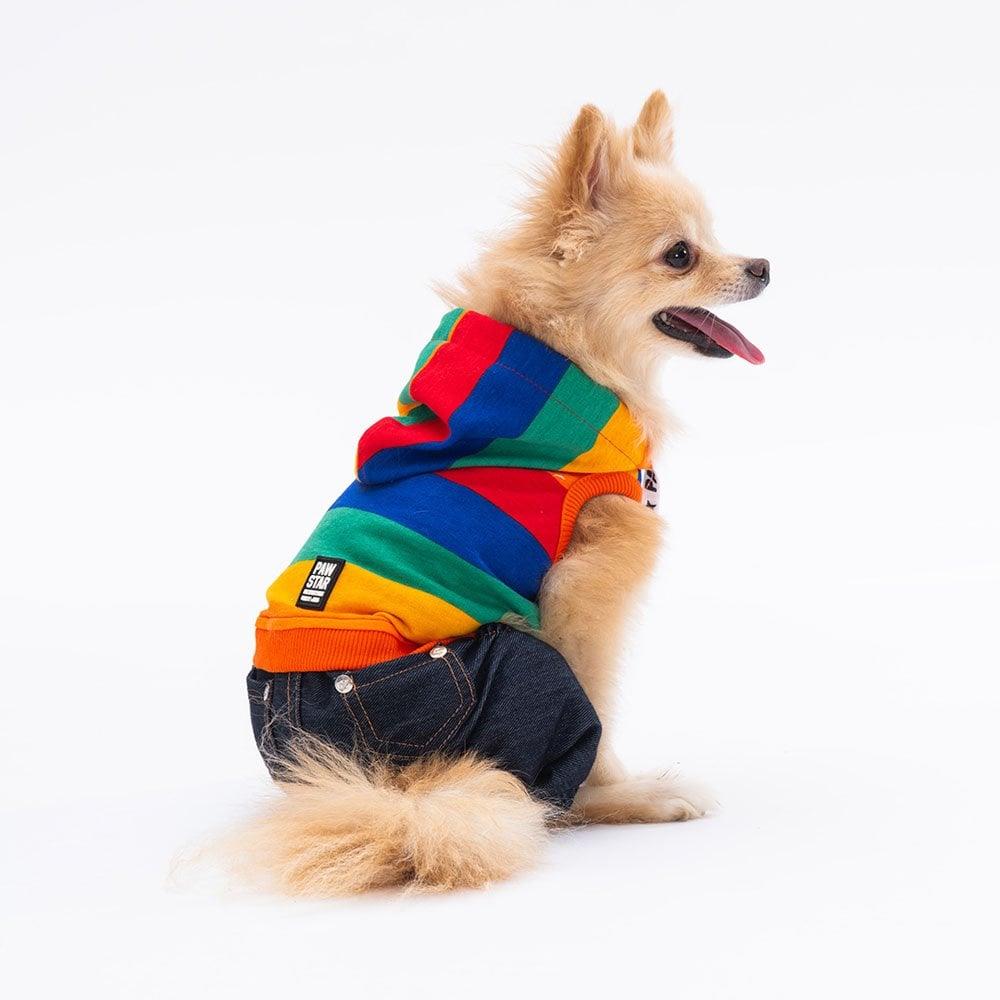 PawStar Colored Lines Tulum Küçük ve Orta Irk