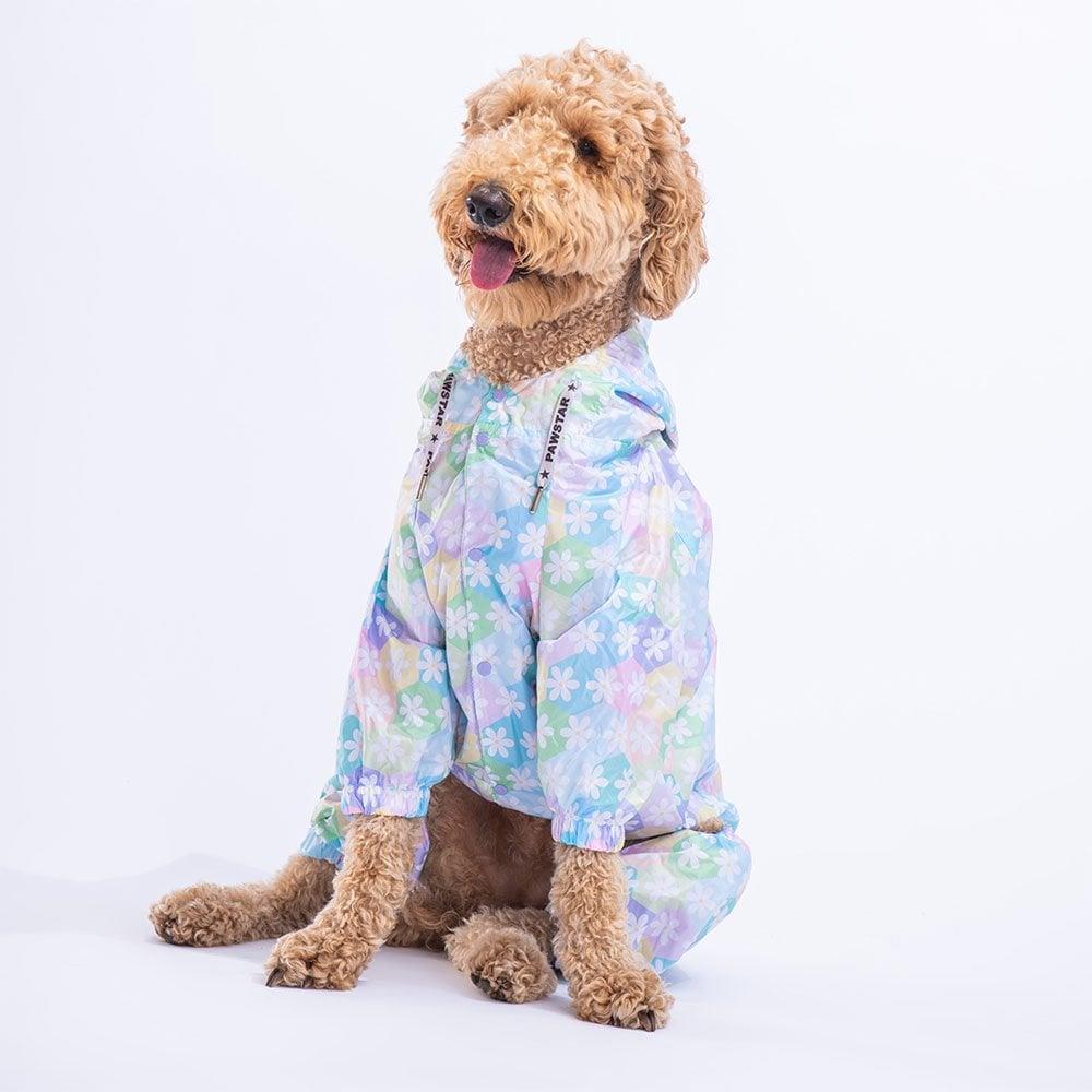 PawStar Flores  Büyük Irk Yağmurluk