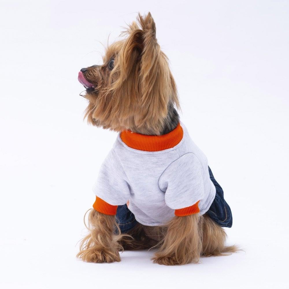 PawStar Gri Santa Rosa Elbise